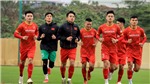 HLV Park Hang Seo chốt danh s&#225;ch tuyển Việt Nam dự trận gặp &#218;c