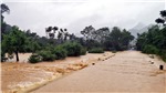C&#225;c tỉnh Thanh H&#243;a, Nghệ An, H&#224; Tĩnh chủ động ứng ph&#243; với mưa lũ