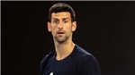 Novak Djokovic ch&#237;nh thức thua kiện, đối mặt với việc bị trục xuất