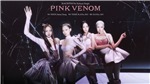 Blackpink ph&#225; kỷ lục c&#244;ng chiếu với &#39;Pink Venom&#39;
