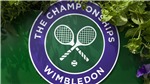 Lịch thi đấu v&#224; trực tiếp Wimbledon h&#244;m nay (30/6/2022 - 1/7/2022)
