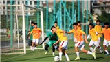 U19 Việt Nam đấu tập với Hải Ph&#242;ng trước khi dự giải Đ&#244;ng Nam &#193;