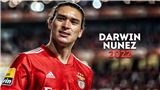 Benfica x&#225;c nhận b&#225;n Darwin Nunez cho Liverpool với gi&#225; kỷ lục
