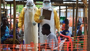 Bệnh nh&#226;n nhiễm virus Ebola đầu ti&#234;n ở Nigeria xuất viện