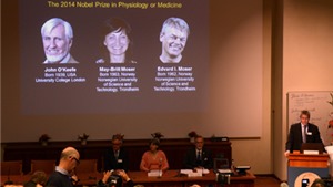 Giải Nobel Y học 2014 thuộc về ba nh&#224; khoa học Mỹ v&#224; Na Uy