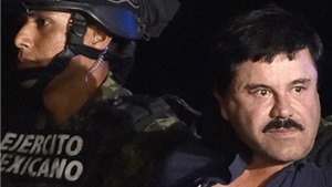 Vụ bắt giữ tr&#249;m ma t&#250;y El Chapo: Gay cấn như phim h&#224;nh động Mỹ 