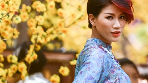 Khởi tố người mẫu Trang Trần, cho tại ngoại v&#236; đang mang thai 