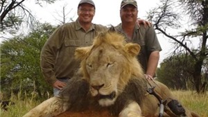 Lộ diện kẻ chặt đầu, lột da &#39;vua sư tử&#39; Zimbabwe
