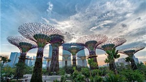 Tour Singapore si&#234;u tiết kiệm: Thỏa cơn “ghiền” mua sắm