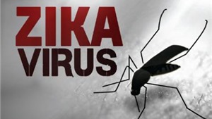 Mỹ thử nghiệm th&#224;nh c&#244;ng vaccine ph&#242;ng chống virus Zika tr&#234;n động vật