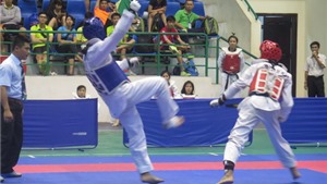 Thể thao Việt Nam c&#243; c&#242;n trọng điểm cả 10 cho Olympic?