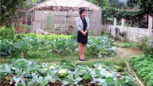 Mỹ Linh trồng rau, nu&#244;i c&#225;, thả g&#224; tại trang trại ở S&#243;c Sơn