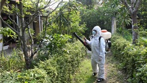 Th&#224;nh phố Hồ Ch&#237; Minh chống dịch bệnh do vi r&#250;t Zika