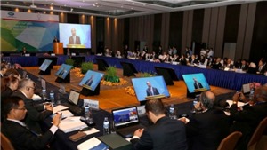 To&#224;n văn Tuy&#234;n bố chung Hội nghị li&#234;n Bộ trưởng Ngoại giao - Kinh tế APEC 2017