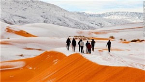 Ngắm cảnh tượng si&#234;u hiếm: Tuyết phủ k&#237;n sa mạc đỏ Sahara