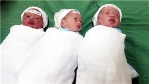 Ba trẻ ch&#224;o đời khỏe mạnh trong ca sinh tam thai tự nhi&#234;n hiếm gặp ở Nghệ An