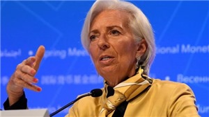 IMF: Mỹ &#39;mong manh, dễ bị tổn thương&#39; trước cuộc chiến tranh thương mại