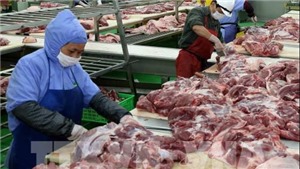 Từ ng&#224;y 20/9 sẽ tạm dừng nhập khẩu thịt lợn từ Ba Lan v&#224; Hunggary v&#224;o Việt Nam
