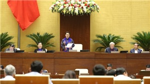 Kỳ họp thứ 8, Quốc hội kh&#243;a XIV: Khẩn trương ban h&#224;nh quy định cụ thể về h&#224;ng h&#243;a xuất xứ Việt Nam