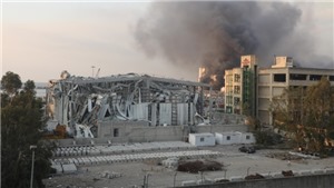 Vụ nổ ở Beirut: C&#243; người Việt Nam bị thương