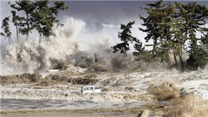 10 năm thảm họa động đất s&#243;ng thần tại Nhật Bản: LHQ ra lời k&#234;u gọi