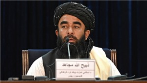 T&#236;nh h&#236;nh Afghanistan: Taliban dự kiến thời điểm ch&#237;nh phủ mới nhậm chức