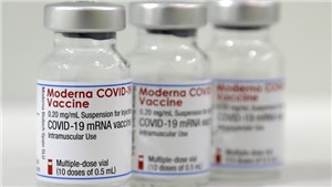 Moderna c&#244;ng bố dữ liệu mới về hiệu quả của vaccine ngừa Covid-19 