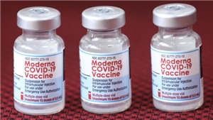 Bộ Y tế hướng dẫn ti&#234;m mũi 2 vaccine Moderna với c&#225;c vaccine ph&#242;ng Covid-19 kh&#225;c