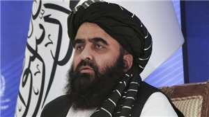Họp Đại hội đồng LHQ: Taliban đề nghị được ph&#225;t biểu, bổ nhiệm Đại sứ
