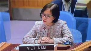 Việt Nam t&#225;i khẳng định ủng hộ giải trừ qu&#226;n bị, kh&#244;ng phổ biến vũ kh&#237; hạt nh&#226;n