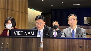 Việt Nam tham dự Hội đồng chấp h&#224;nh lần thứ 214 của UNESCO