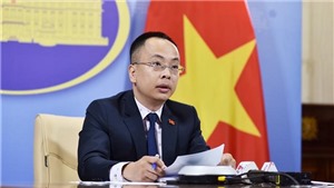 Việt Nam phản đối h&#224;nh vi trồng rau của Trung Quốc ở Ho&#224;ng Sa