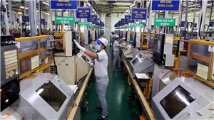 Chuy&#234;n gia Singapore: Kinh tế Việt Nam đang phục hồi mạnh mẽ