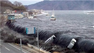 Nhật Bản: Dự b&#225;o động đất, s&#243;ng thần c&#243; thể khi&#234;́n h&#224;ng trăm ngh&#236;n người thi&#234;̣t mạng
