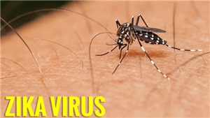 Trung Quốc ph&#225;t hiện trường hợp nhiễm virus Zika đầu ti&#234;n