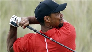 Tiger Woods bị bắt vì lái xe trong tình trạng say xỉn