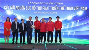 V&#236; sao đội tuyển Việt Nam v&#244; địch AFF Suzuki Cup 2018?