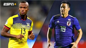 Link xem trực tiếp b&#243;ng đ&#225; Ecuador đấu với Nhật Bản (06h00, 25/06), Copa America 2019