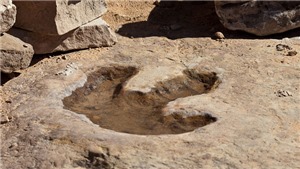 Ph&#225;t hiện nhiều dấu ch&#226;n khủng long tại khu tự trị T&#226;y Tạng, Trung Quốc