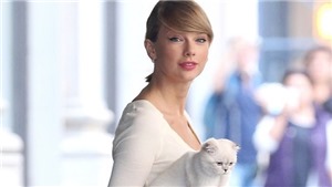 Taylor Swift thủ vai ch&#237;nh cạnh loạt sao trong phim của đạo diễn đoạt giải Oscar