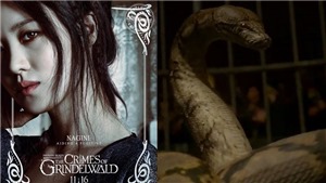 Rowling n&#243;i về mỹ nh&#226;n ch&#226;u &#193; h&#243;a rắn trong ‘Sinh vật huyền b&#237; 2’