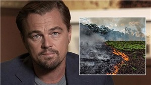 Tổng thống Brazil: &#39;Leonardo DiCaprio, anh đang t&#224;i trợ đốt rừng Amazon đấy&#39;