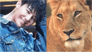 Fan tặng G-Dragon nguy&#234;n một ch&#250; sư tử nh&#226;n sinh nhật tuổi 30
