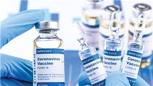 Điện Bi&#234;n tồn 51.000 liều vaccine ph&#242;ng Covid-19
