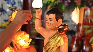 Đại lễ Phật đản: Thực h&#224;nh nghi lễ tắm Phật thế n&#224;o?