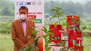 OMO trao tặng 40.000 banh hạt giống cho rừng ph&#242;ng hộ Việt Nam