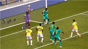 VIDEO: Cầu thủ Senegal đứng chống h&#244;ng thư gi&#227;n nh&#236;n Colombia ghi b&#224;n g&#226;y bức x&#250;c