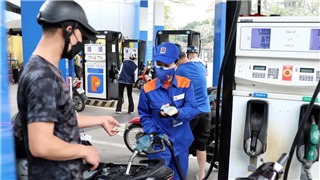  Chính phủ trình Ủy ban Thường vụ Quốc hội Nghị quyết giảm thuế bảo vệ môi trường đối với xăng, dầu, mỡ nhờn 