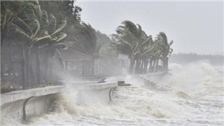  Chủ động ứng phó với áp thấp nhiệt đới có khả năng mạnh lên thành bão 