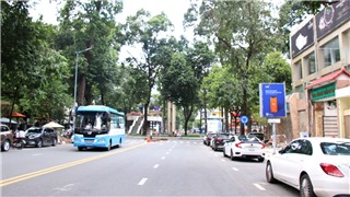  Tp. Hồ Chí Minh dự kiến mở thêm 22 tuyến phố đi bộ 